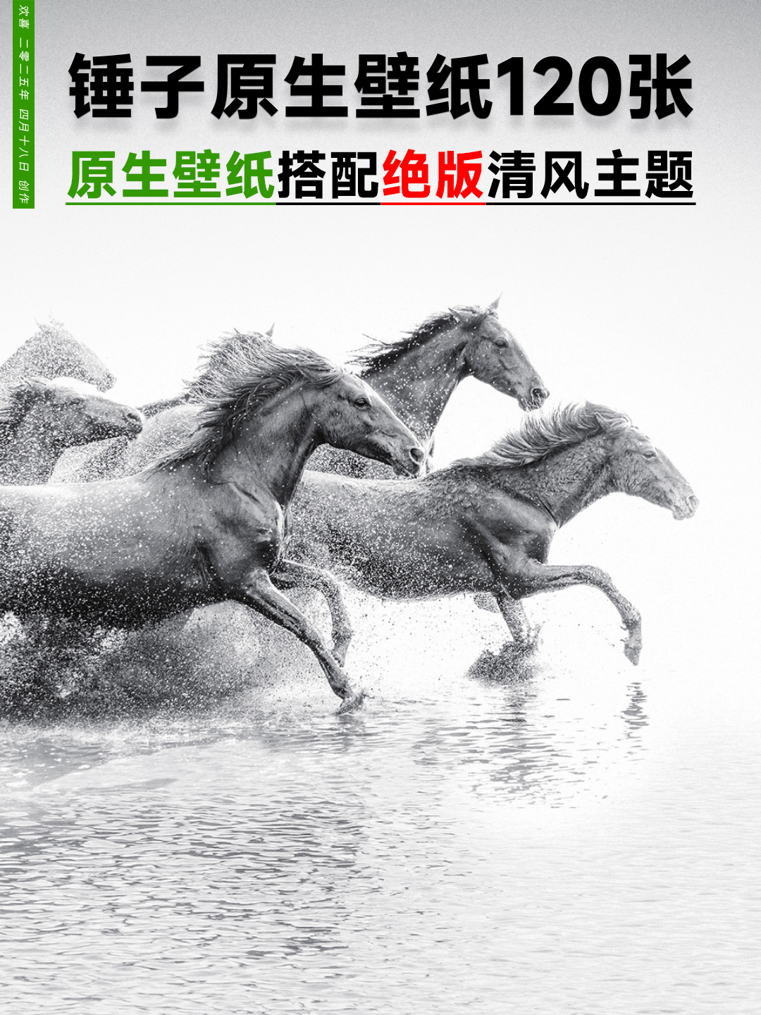 插入的图片